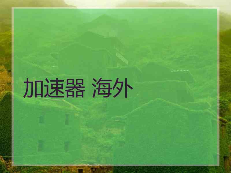 加速器 海外