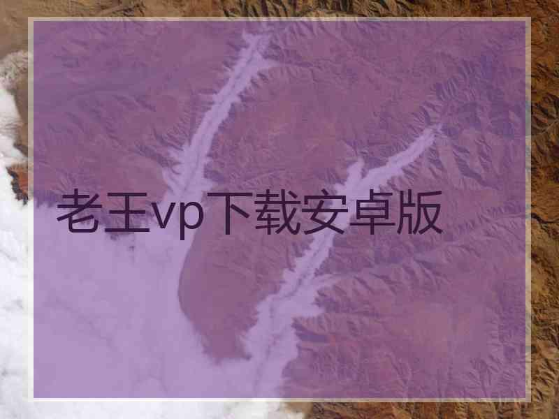 老王vp下载安卓版