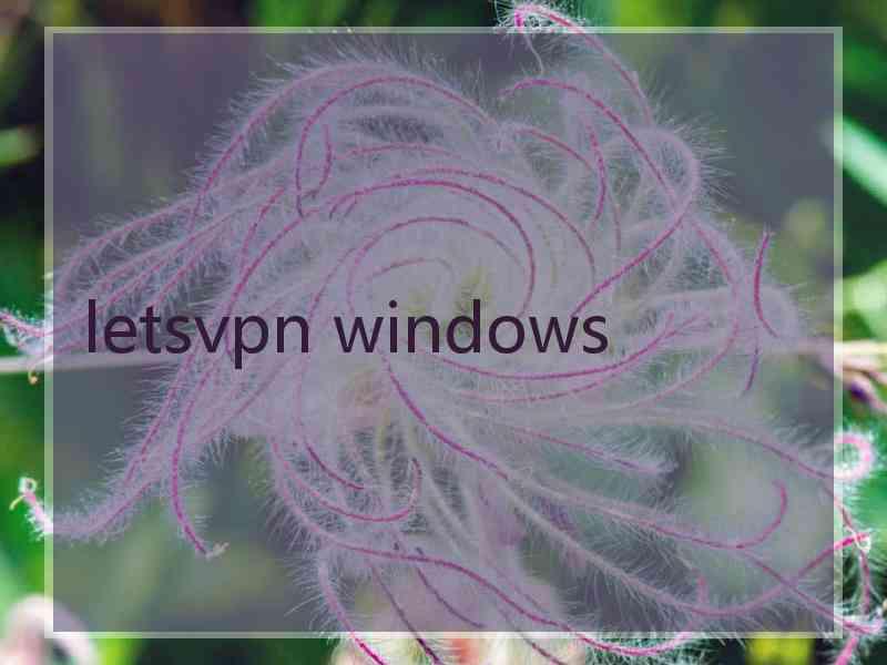 letsvpn windows