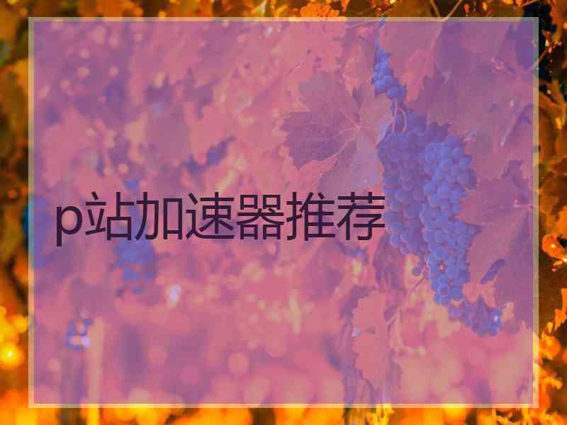 p站加速器推荐