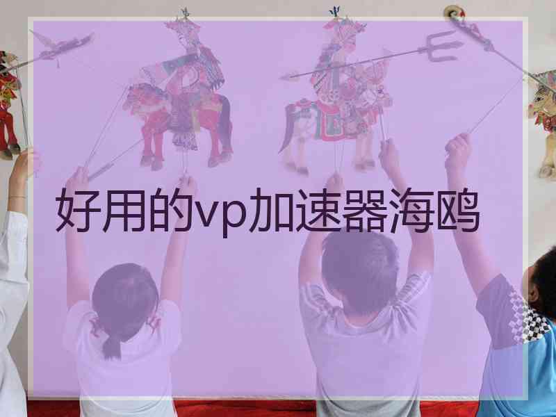 好用的vp加速器海鸥