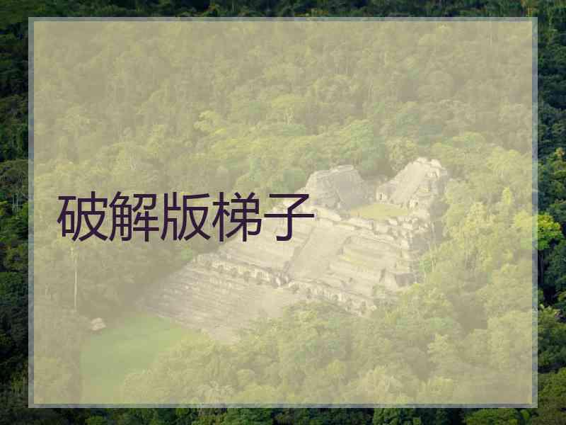 破解版梯子