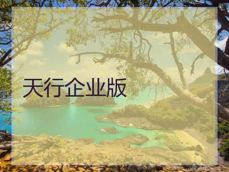 天行企业版