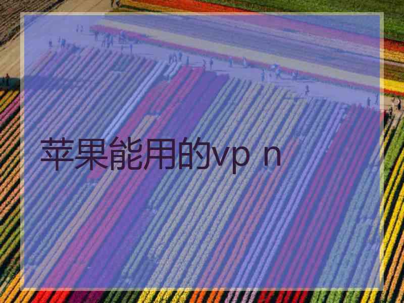 苹果能用的vp n