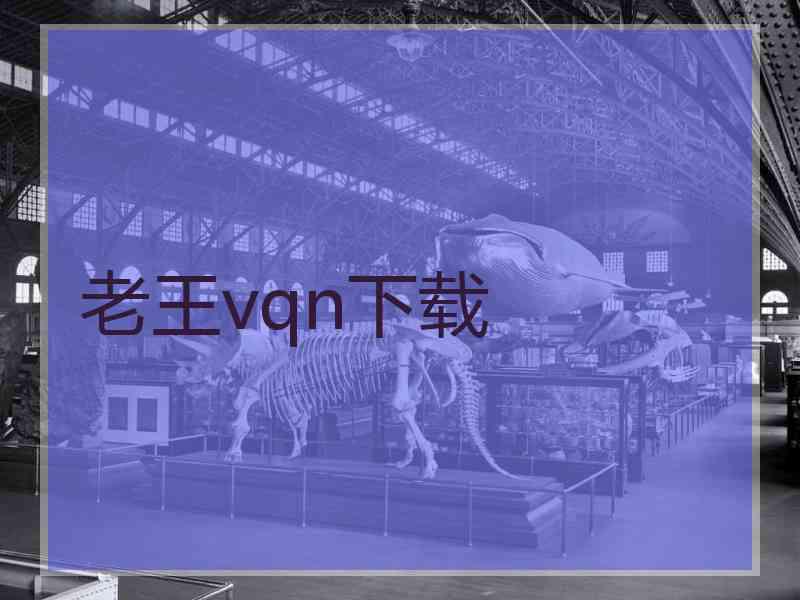 老王vqn下载