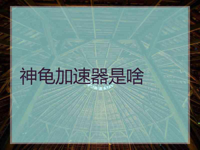 神龟加速器是啥
