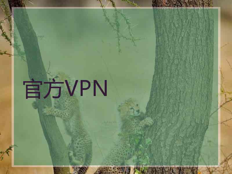 官方VPN
