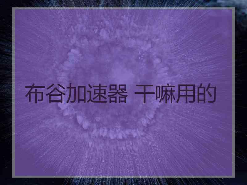 布谷加速器 干嘛用的