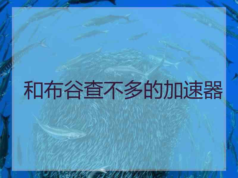 和布谷查不多的加速器