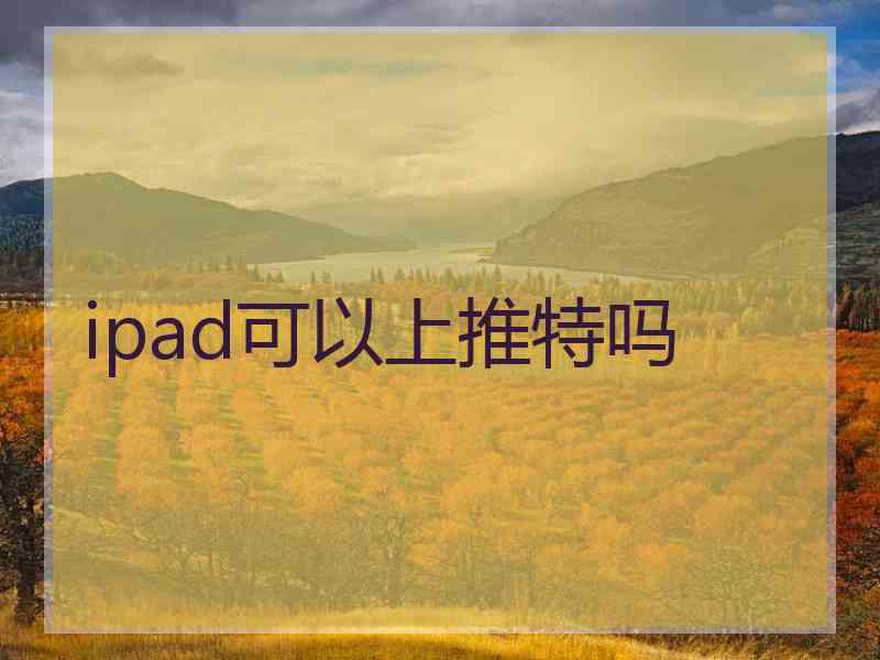 ipad可以上推特吗