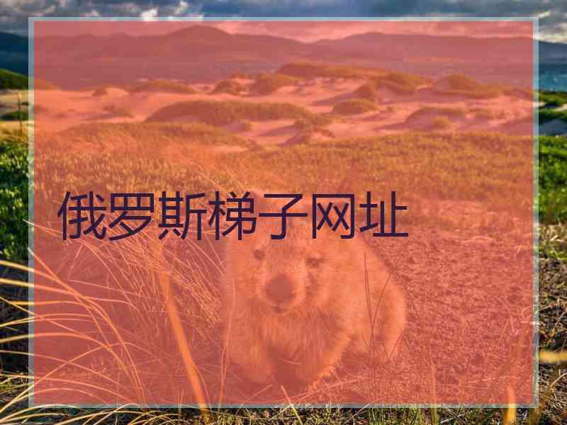 俄罗斯梯子网址