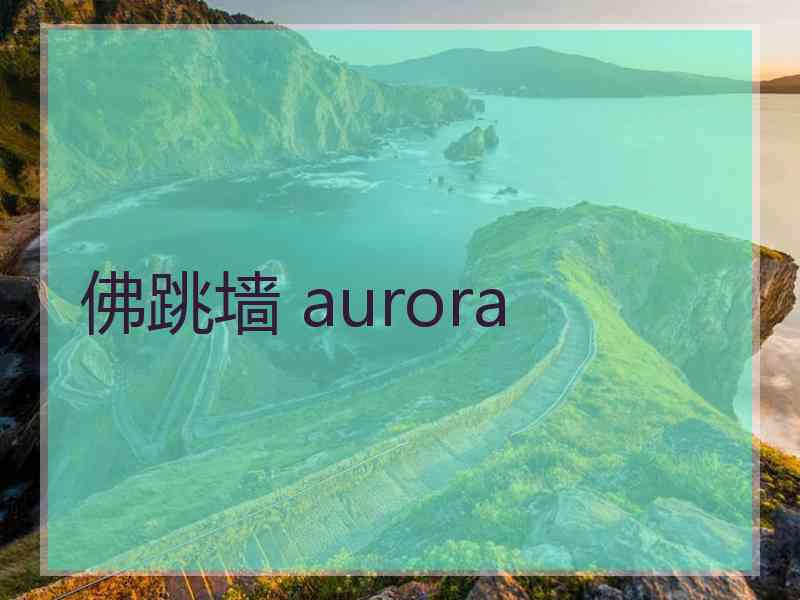 佛跳墙 aurora