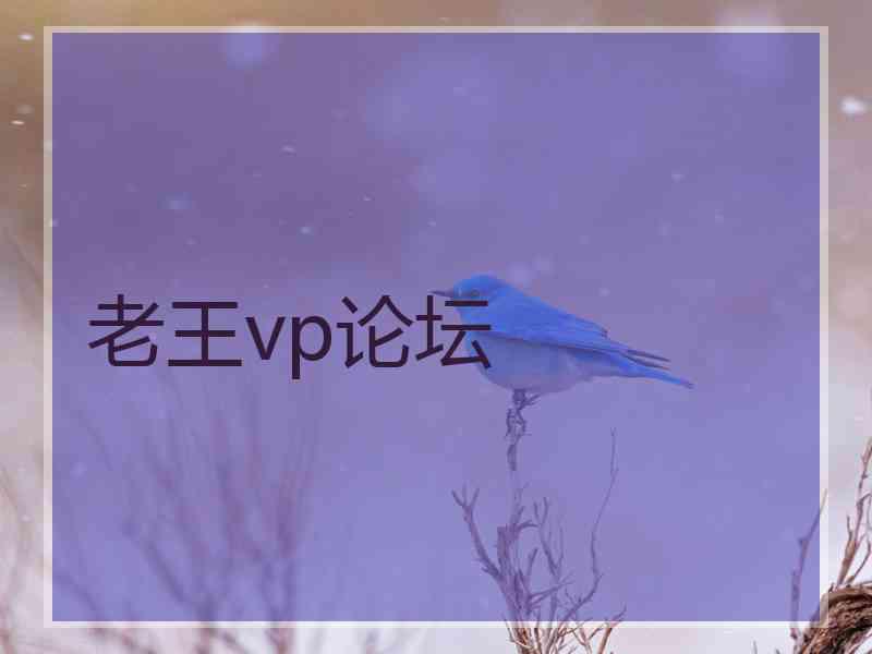 老王vp论坛