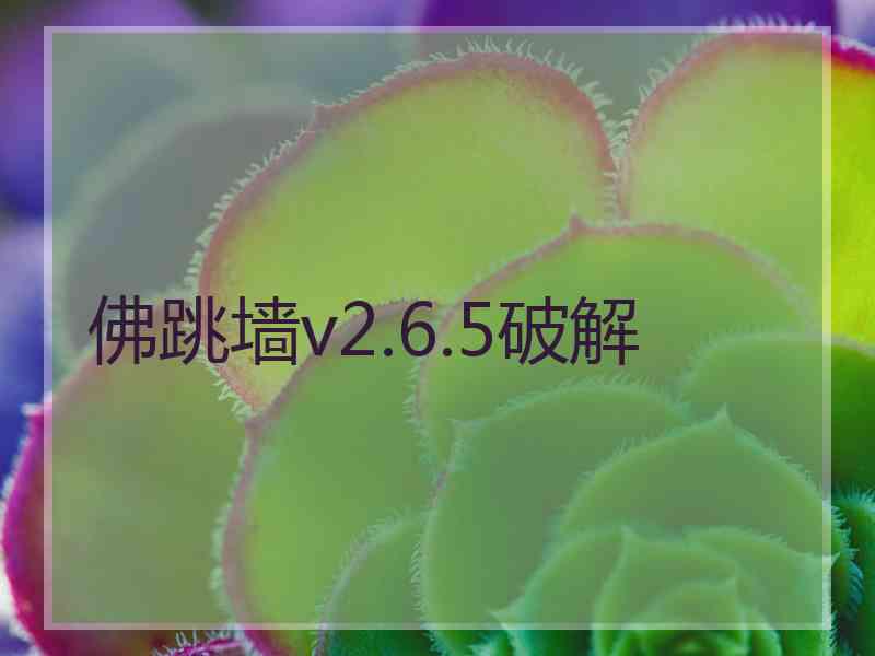 佛跳墙v2.6.5破解