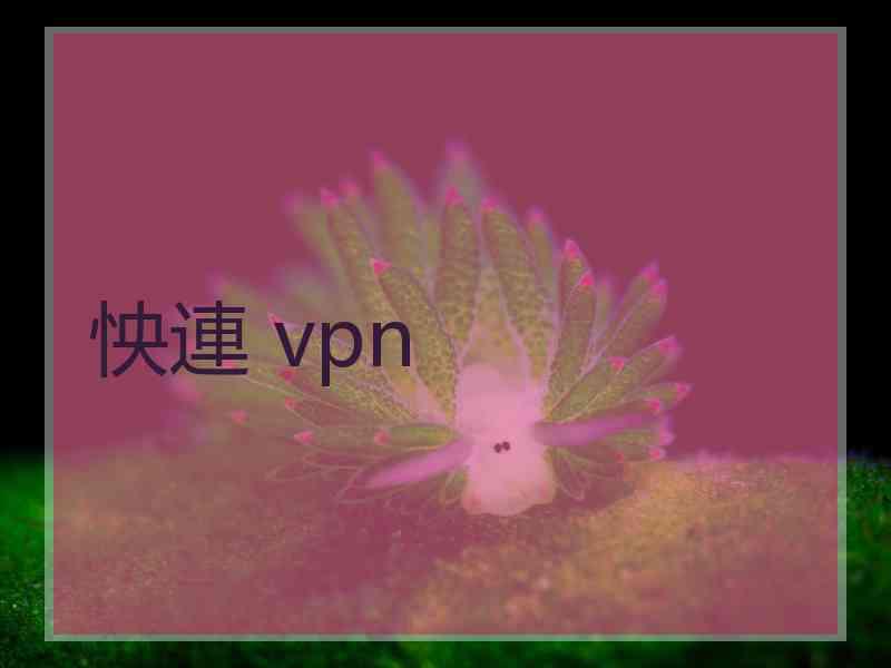 怏連 vpn
