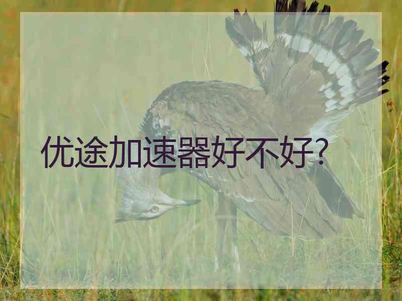 优途加速器好不好?