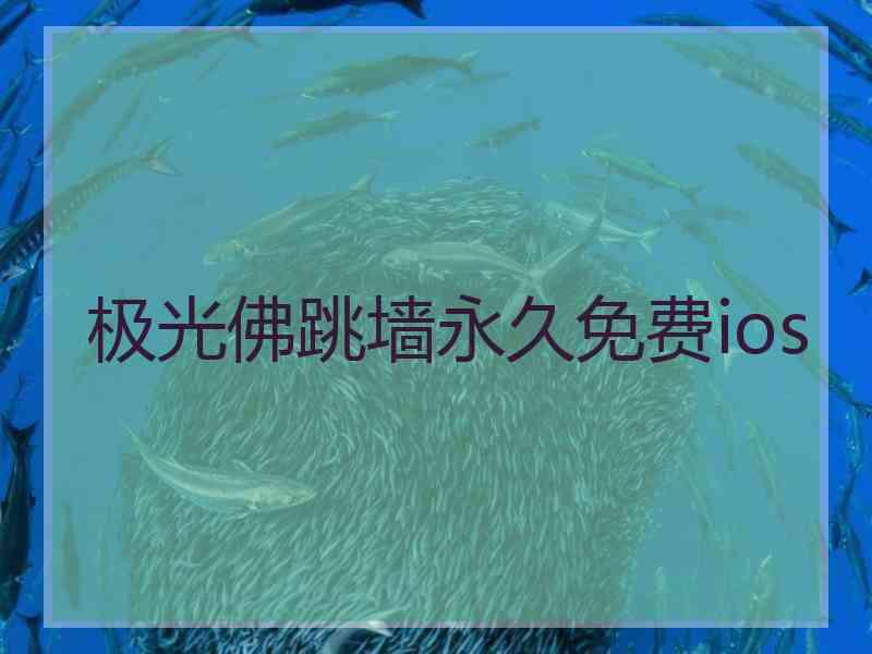 极光佛跳墙永久免费ios