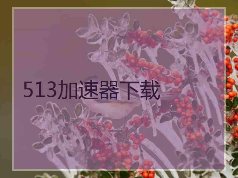 513加速器下载