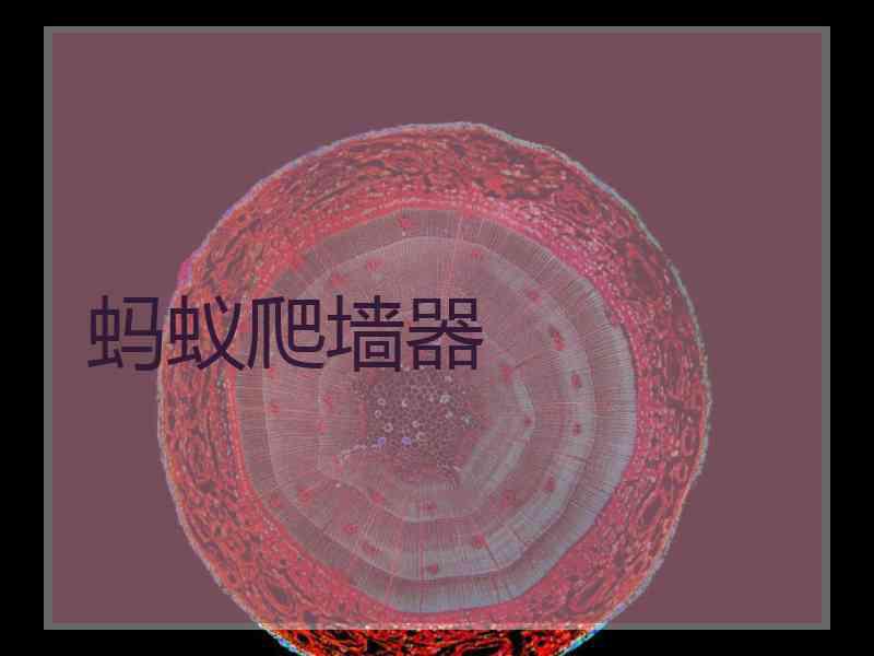 蚂蚁爬墙器