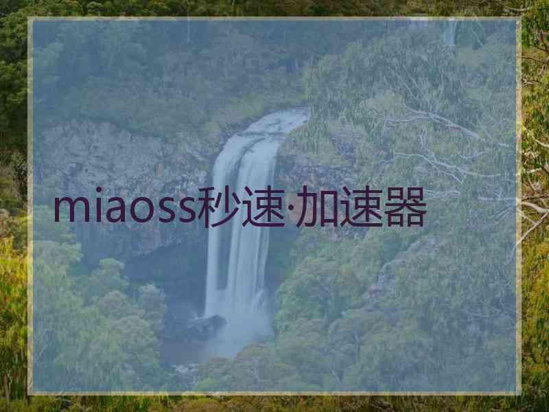 miaoss秒速·加速器