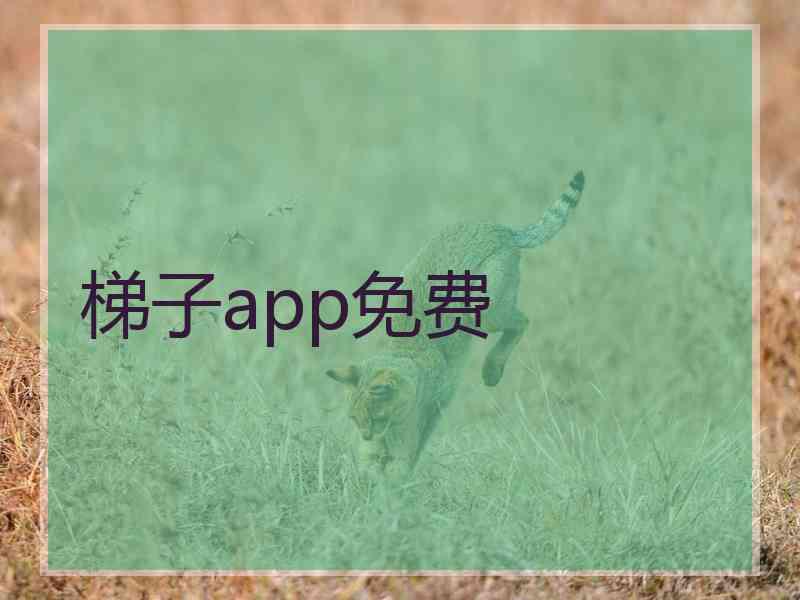 梯子app免费