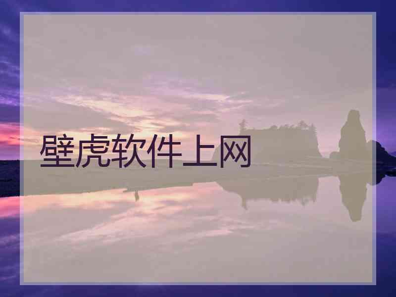壁虎软件上网