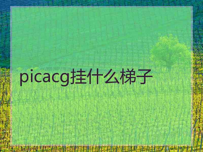 picacg挂什么梯子