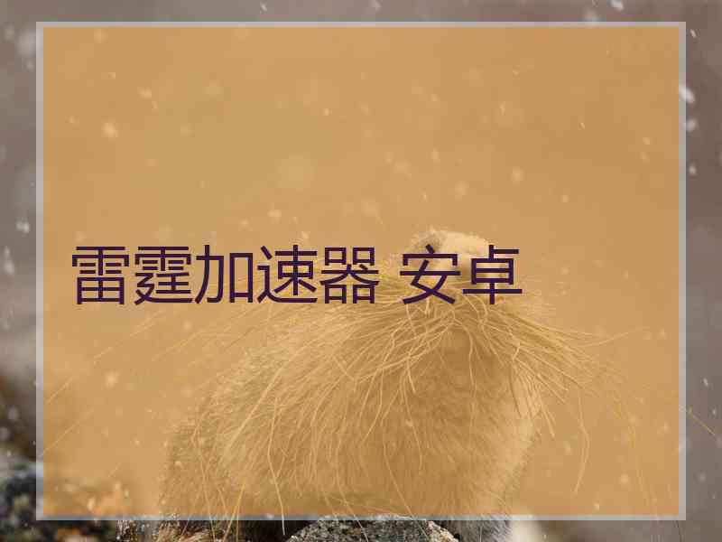 雷霆加速器 安卓