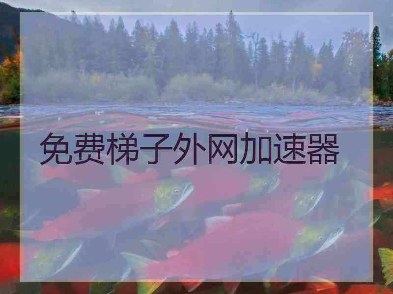 免费梯子外网加速器