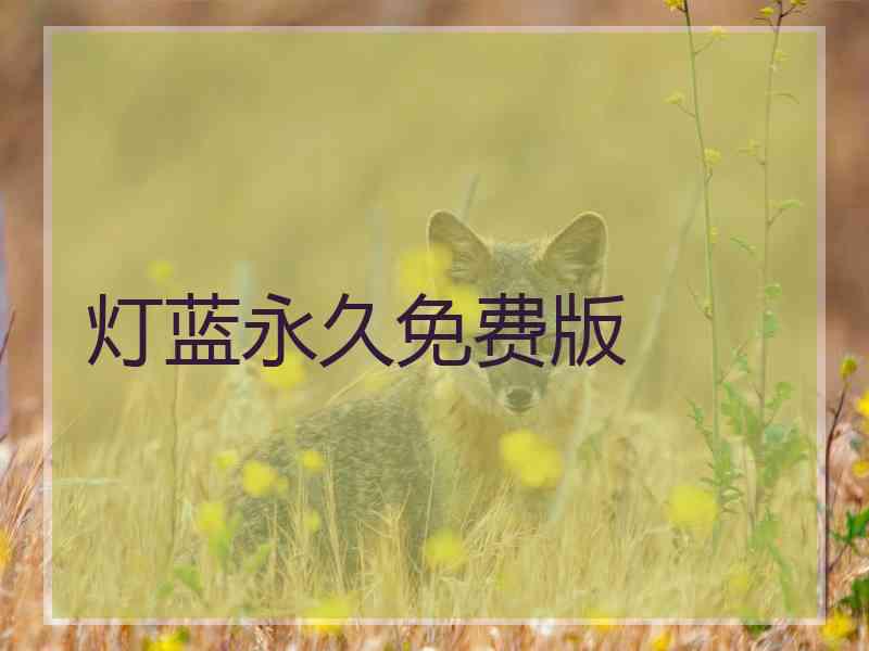 灯蓝永久免费版