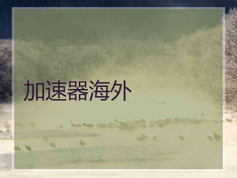 加速器海外