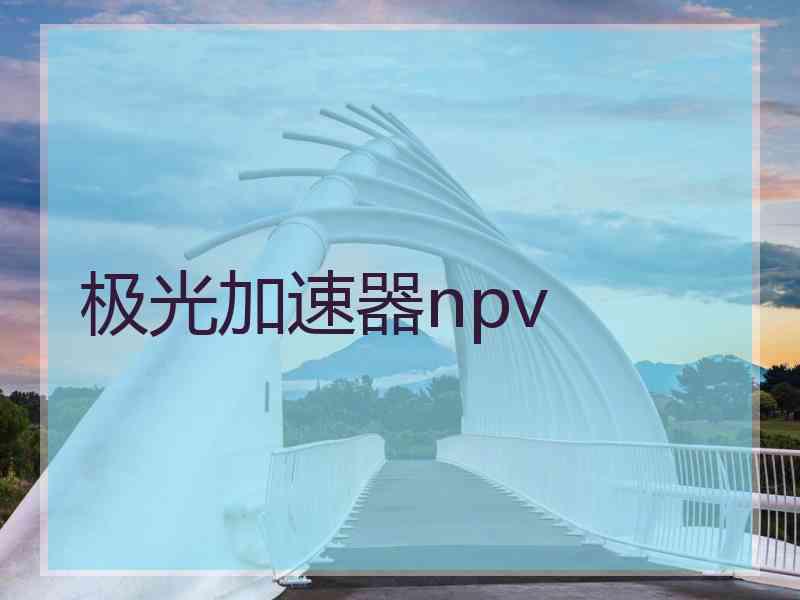 极光加速器npv