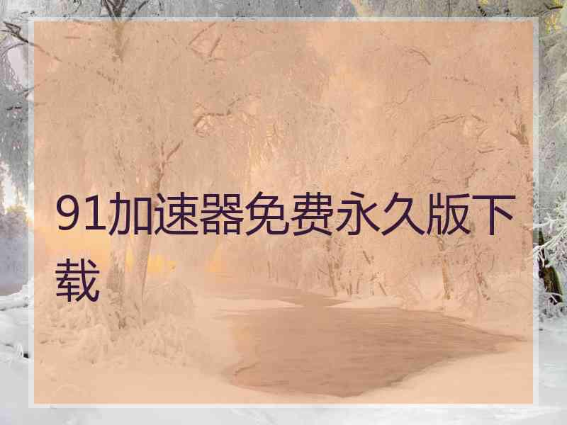 91加速器免费永久版下载