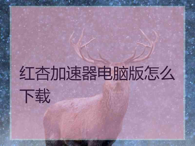红杏加速器电脑版怎么下载