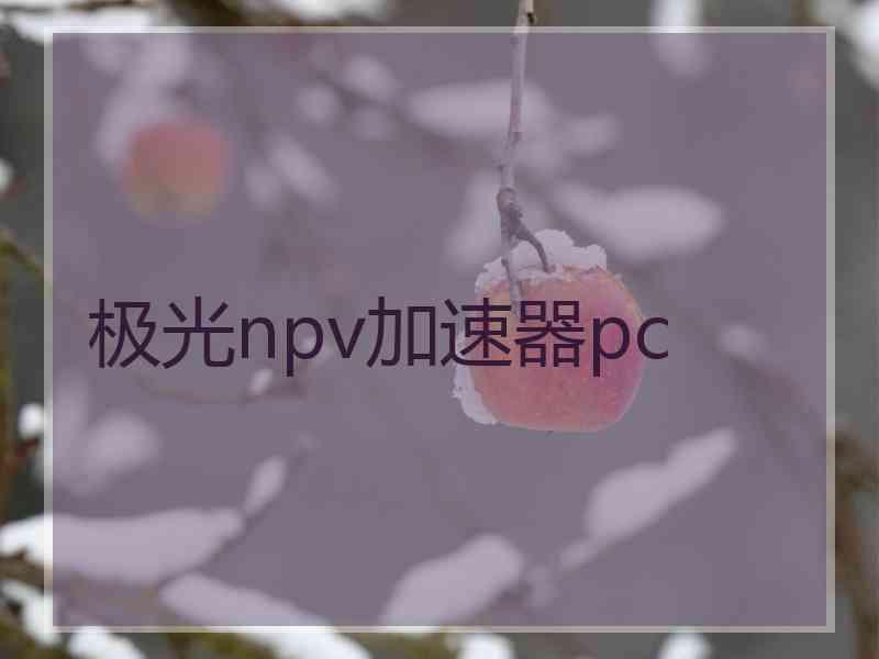 极光npv加速器pc