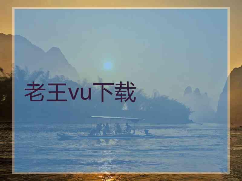 老王vu下载