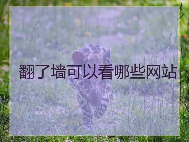 翻了墙可以看哪些网站