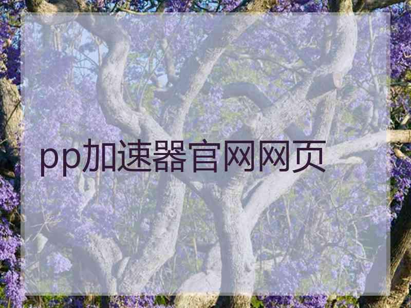 pp加速器官网网页