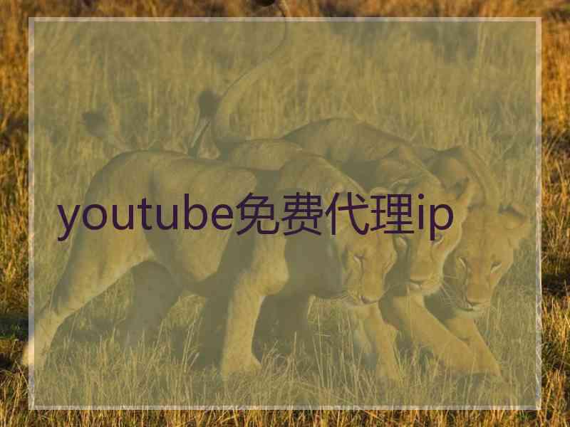 youtube免费代理ip