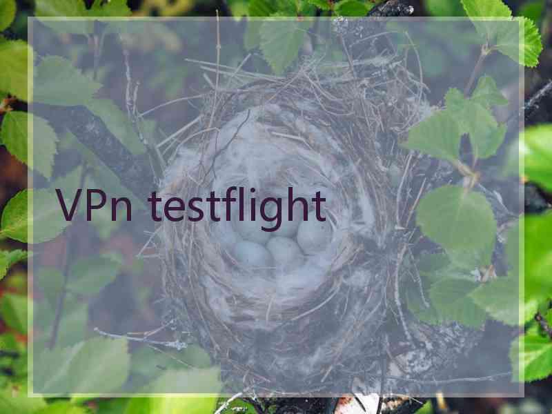 VPn testflight