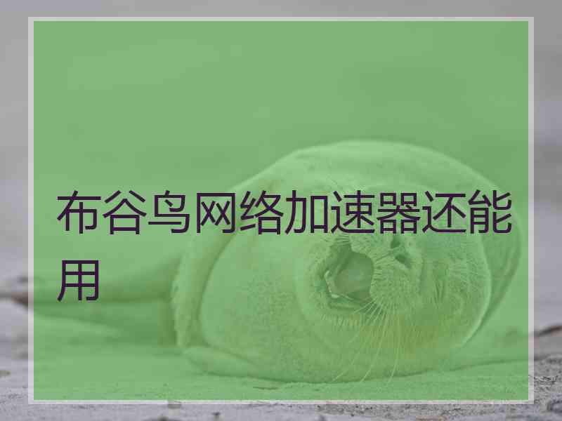 布谷鸟网络加速器还能用