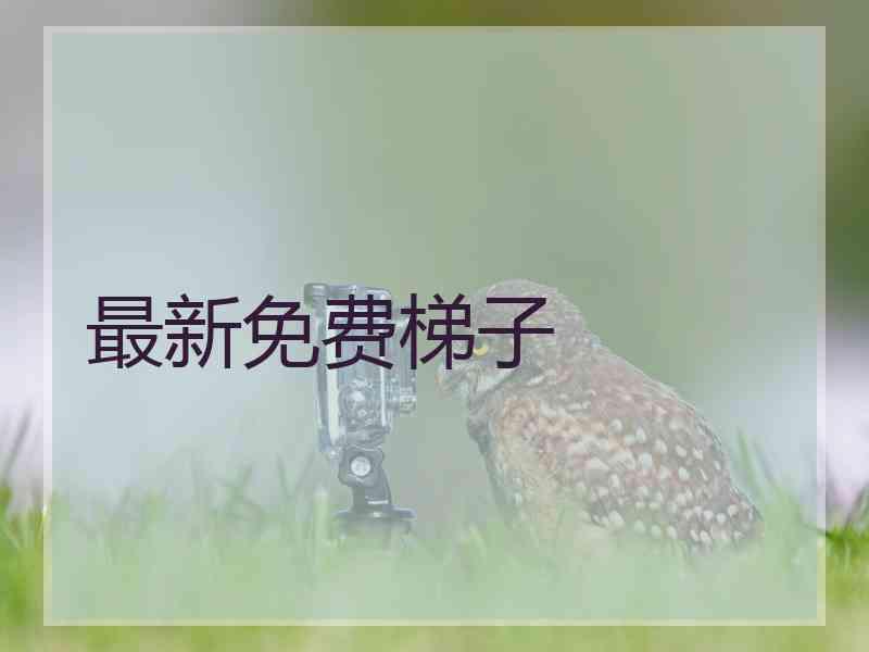 最新免费梯子