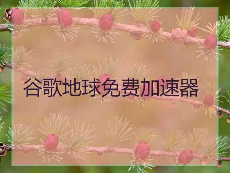 谷歌地球免费加速器