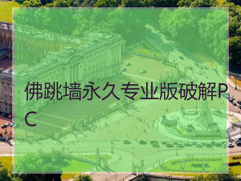 佛跳墙永久专业版破解PC