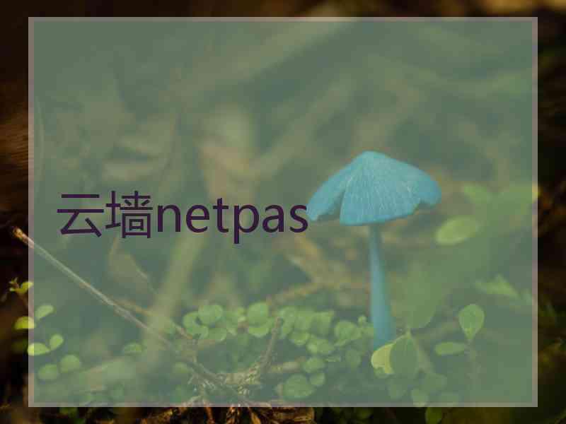 云墙netpas
