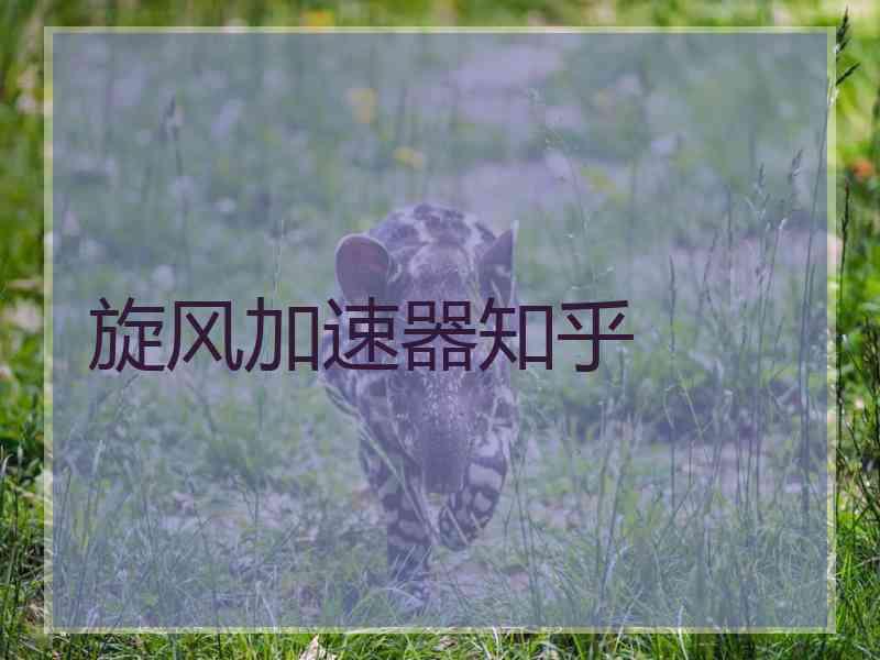 旋风加速器知乎