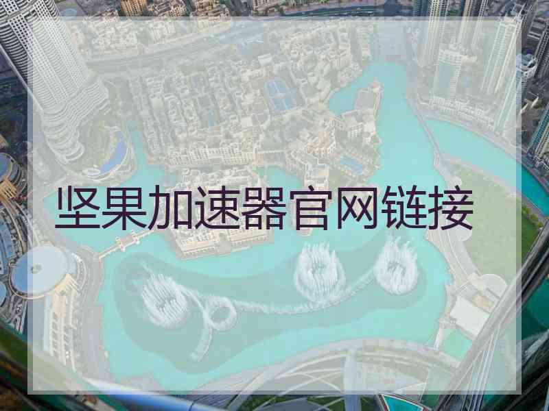 坚果加速器官网链接