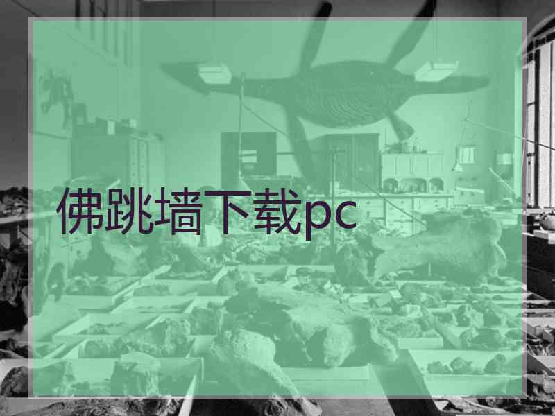 佛跳墙下载pc