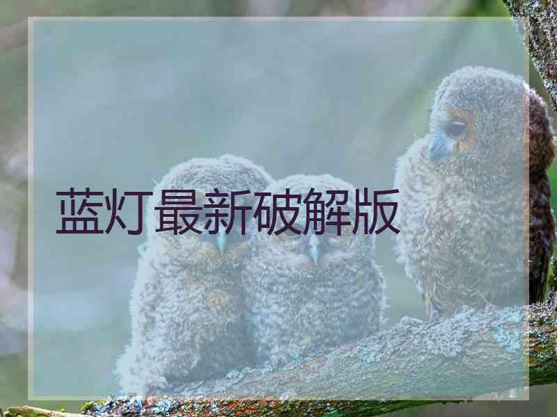 蓝灯最新破解版