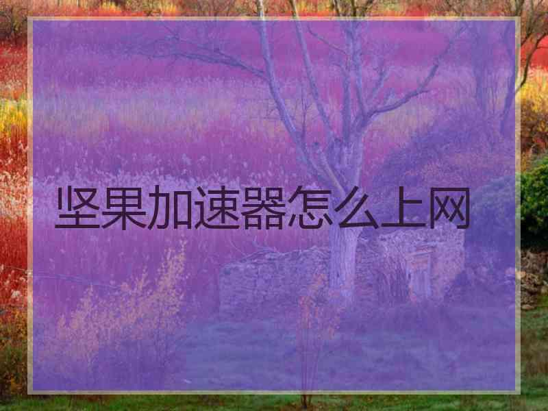 坚果加速器怎么上网